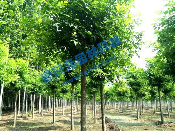 �c���鿴Ԕ����Ϣ���}����Ϟ ��x�Δ���2458