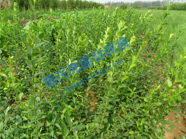 �c���鿴Ԕ����Ϣ���}�����~������ ��x�Δ���2833