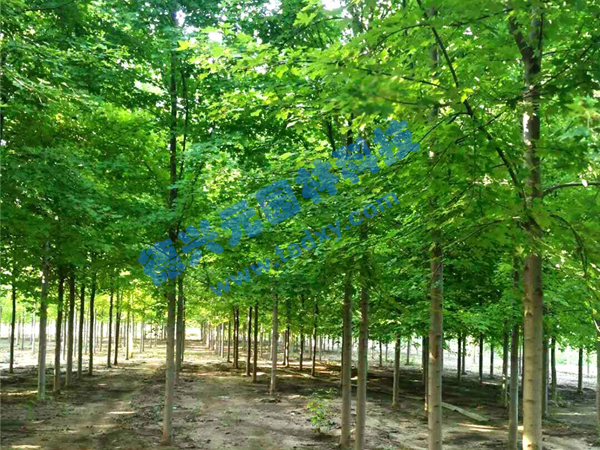 �c���鿴Ԕ����Ϣ���}�������t�� ��x�Δ���2104