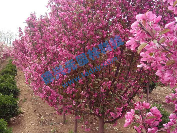 �c���鿴Ԕ����Ϣ���}���k������ ��x�Δ���2292