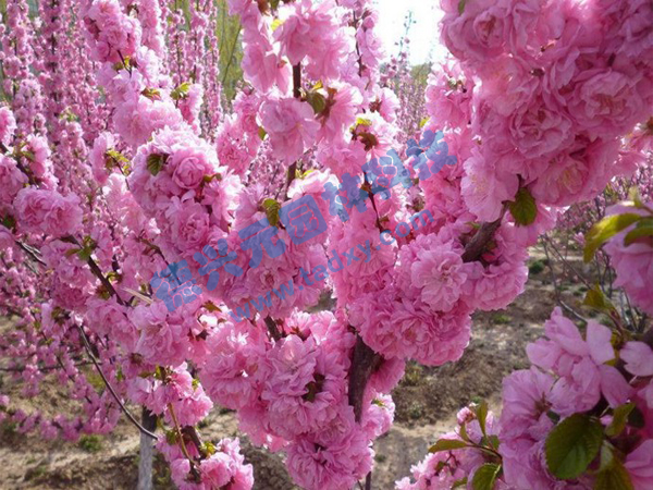 �c���鿴Ԕ����Ϣ���}���ѻ� ��x�Δ���2048