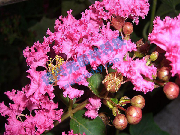 �c���鿴Ԕ����Ϣ���}����ޱ ��x�Δ���1891